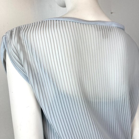 Anthropologie Bordeaux Semi Sheer Pleated Dress/Slip Lining - Picture 6 of 9